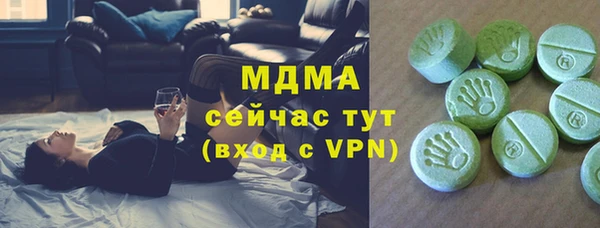индика Бородино