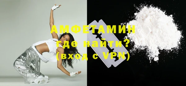 индика Бородино