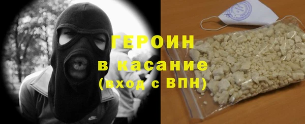 индика Бородино