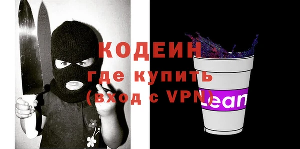 шишки Бронницы
