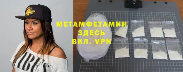 индика Бородино