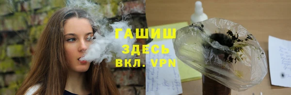 индика Бородино