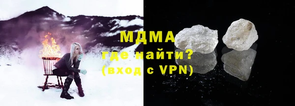 индика Бородино