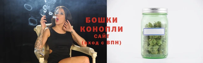 шишки Бронницы
