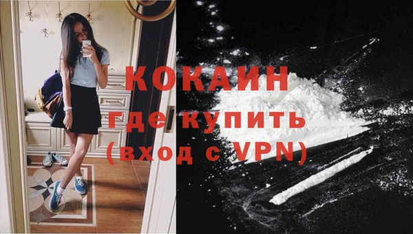 шишки Бронницы