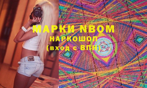 индика Бородино