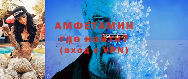 индика Бородино