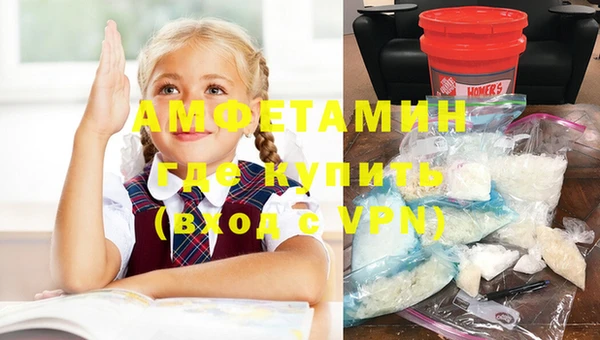 индика Бородино