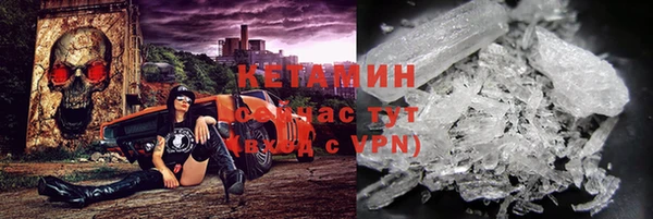 индика Бородино