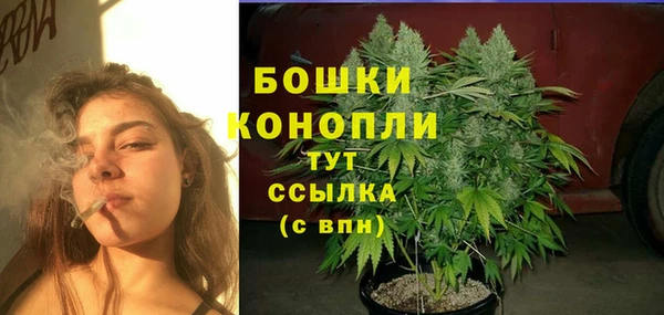 шишки Бронницы