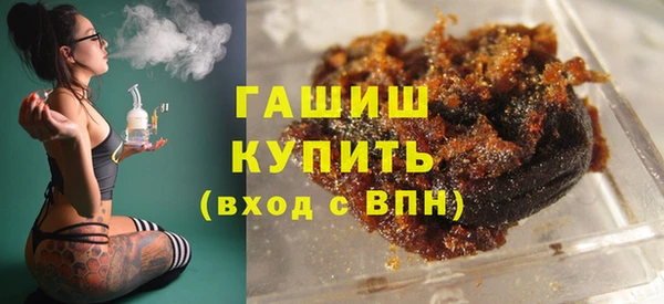 индика Бородино