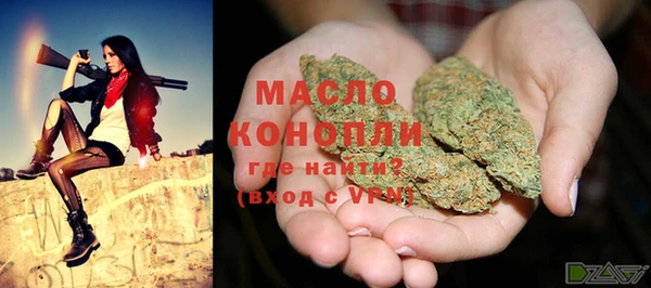 индика Бородино