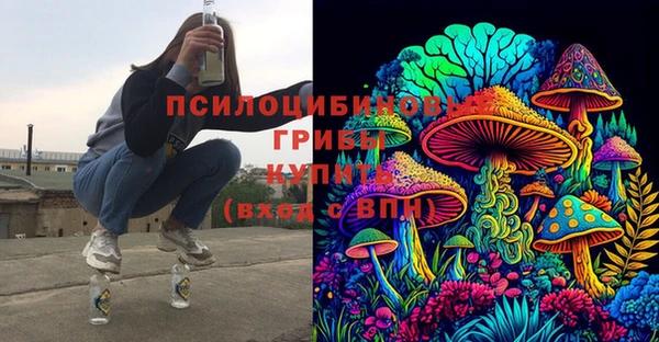 шишки Бронницы