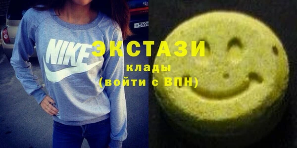 индика Бородино